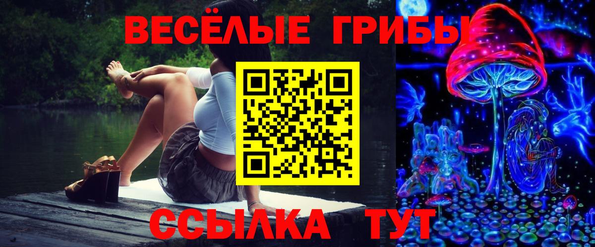 Псилоцибиновые грибы Psilocybine cubensis  Вход с VPN  Южно-Сахалинск  Псилоцибиновые грибы мицелий 